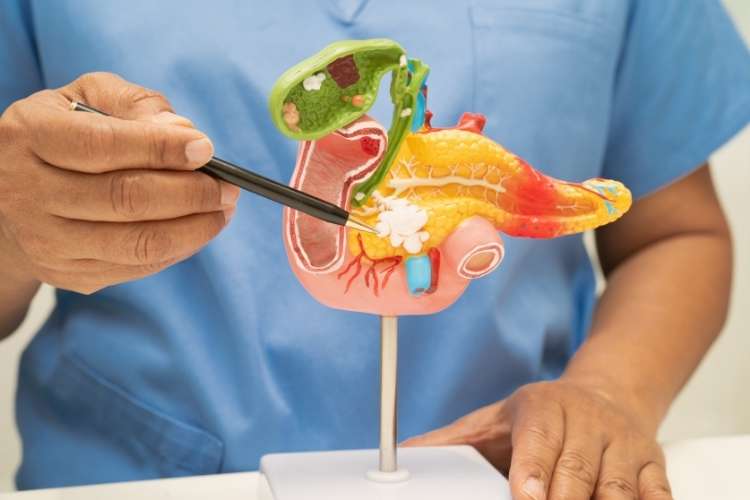 Trabajo como médico digestivo