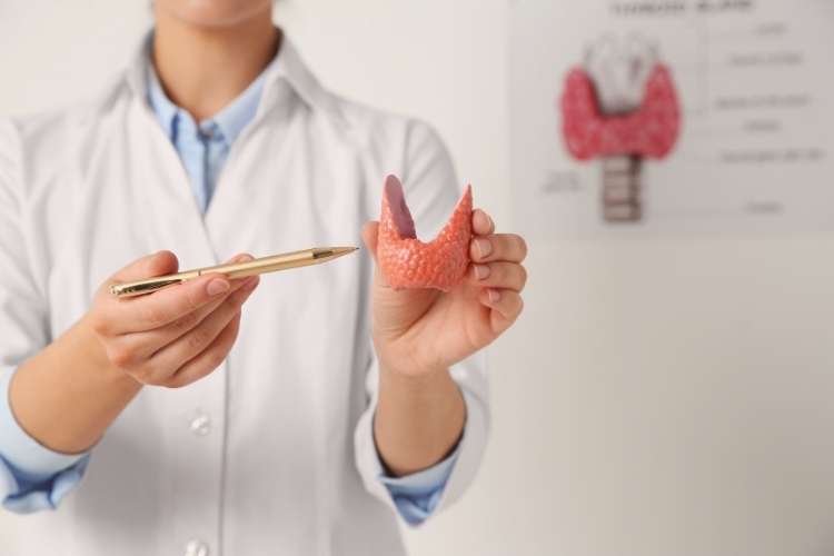 Trabajo como medico endocrino